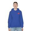 Lane Splitting Unisex Hooded Sweatshirt