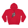 R6 Unisex Hooded Sweatshirt
